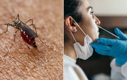 Puede ser fácil confundir algunos síntomas de dengue y covid-19. FOTO: Istock y Jaiver Nieto/ EL TIEMPO